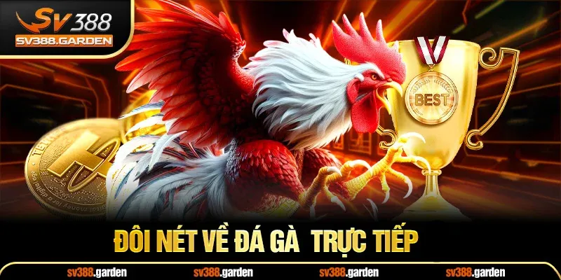 Đôi nét về đà gà trực tiếp