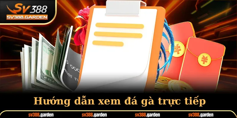 Hướng dẫn xem đá gà trực tiếp nổi bật