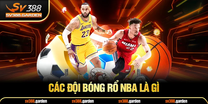 Các đội bóng rổ NBA là gì