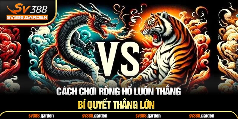 Cách chơi rồng hổ luôn thắng