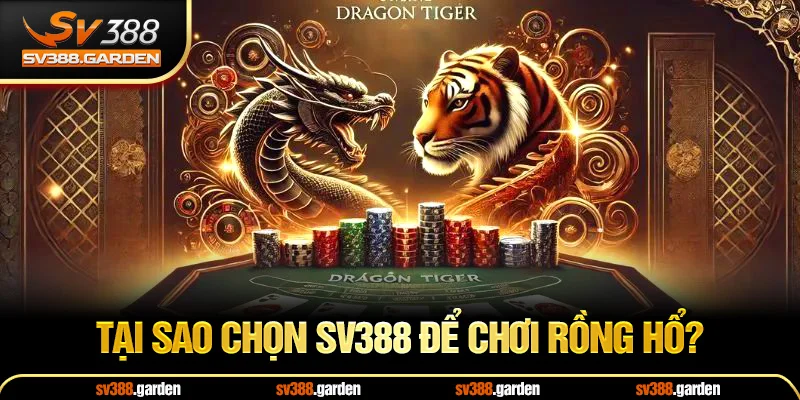 Tại Sao Chọn SV388 Để Chơi Rồng Hổ?