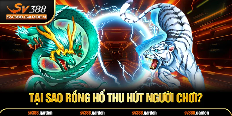 Tại Sao Rồng Hổ Thu Hút Người Chơi?